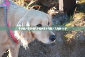 今日重大通报哈狗游到底是不是挂其实有挂-知乎