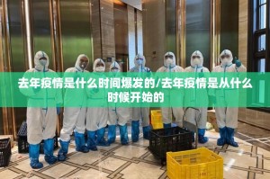 去年疫情是什么时间爆发的/去年疫情是从什么时候开始的