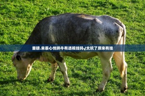 重磅.来袭心悦拱牛有透视挂吗√太坑了原来有挂