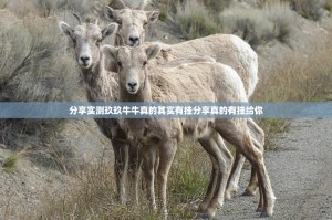 分享实测玖玖牛牛真的其实有挂分享真的有挂给你