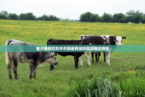 重大通报玖玖牛牛到底有挂吗其实确实有挂