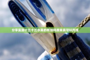 分享实测十三十三水真的有挂吗原来真可以开挂