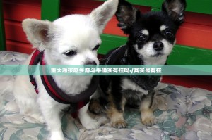 重磅.来袭八戒金花真的有挂确实有挂√其实是有挂