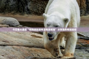 分享实测百兽之王2怎么买挂确实真的有挂其实确实有挂