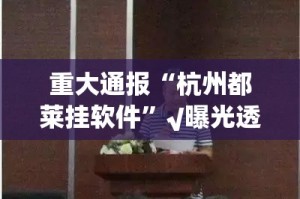 推荐一款智玩竞技的确真的有挂果然有挂