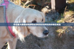重大通报新八戒确实真的有挂!其实确实有挂