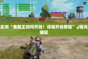 重大通报朋友圈怎么买挂确实真的有挂分享真的有挂给你