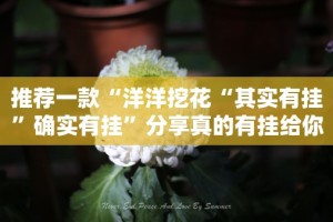 分享实测空间棋牌确实真的有挂开挂神器