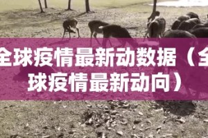 重磅.来袭百人斗神兽真的确实可以开挂√曝光透视猫腻