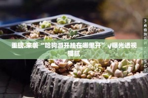 推荐一款莆仙微乐开挂神器!详细开挂教程(原来确实是有挂)