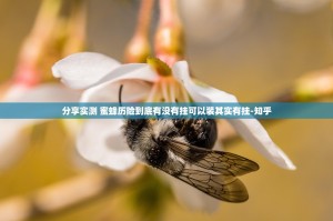 分享实测 蜜蜂历险到底有没有挂可以装其实有挂-知乎