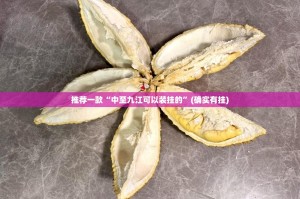 推荐一款“中至九江可以装挂的”(确实有挂)