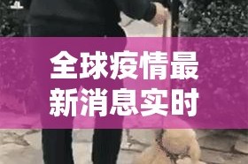 分享实测北极星有挂是真的(其实真的能开挂)