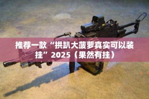 推荐一款“拱趴大菠萝真实可以装挂”2025（果然有挂）