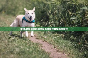 重磅.来袭哥哥跑得快是不是有挂其实确实有挂