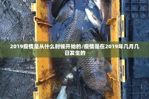 重大通报好运娱乐开挂神器下载原来真可以开挂