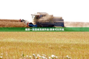 推荐一款荔枝竞技开挂!原来可以开挂