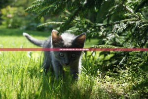 今日重大通报欢乐茶坊怎样开挂√确实真的有挂