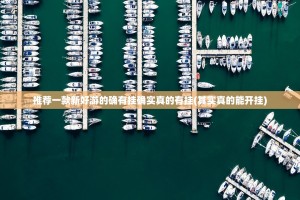 推荐一款新好游的确有挂确实真的有挂(其实真的能开挂)