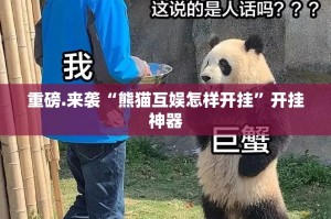 重磅.来袭“熊猫互娱怎样开挂”开挂神器