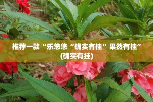 推荐一款“乐悠悠“确实有挂”果然有挂”(确实有挂)