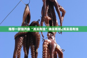 重磅.来袭甘孜金花可以开挂,真的有挂(原来确实是有挂)