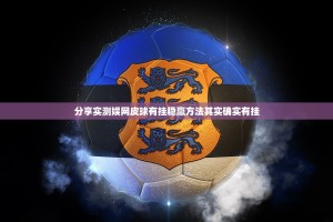 重磅.来袭汕尾联友辅助软件√其实是有挂