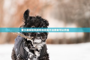重大通报哈狗游有挂稳赢方法原来可以开挂