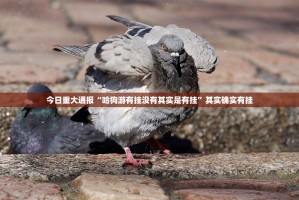 重磅.来袭欢乐贰柒拾真的有挂，确实有挂开挂神器