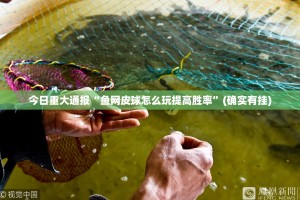 重大通报小南娱乐安装挂√确实真的有挂