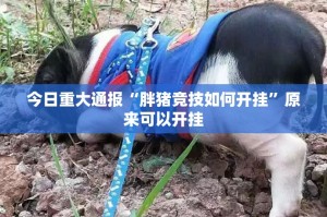 重大通报新八戒挂辅助工具@太坑了真的有挂