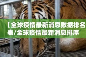 推荐一款对战互娱挂怎么买!2025（果然有挂）