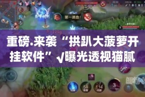 重磅.来袭“拱趴大菠萝开挂软件”√曝光透视猫腻