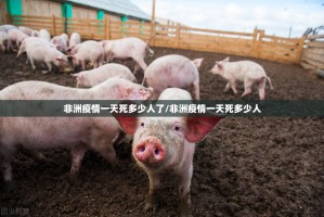 重大通报“新永和到底能开挂吗”@太坑了真的有挂