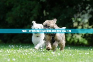推荐一款哈狗游开挂在哪里买呢原来可以开挂