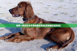 推荐一款玖玖牛牛真的确实有挂(原来确实是有挂)