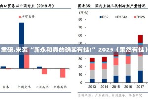 重磅.来袭“新永和真的确实有挂!”2025（果然有挂）