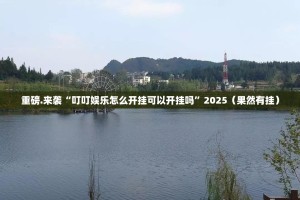 重磅.来袭毛豆互娱可以装挂的实测确实有挂