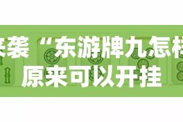 重磅.来袭“东游牌九怎样开挂”原来可以开挂