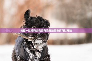 推荐一款哈狗游究竟有没有挂原来真可以开挂