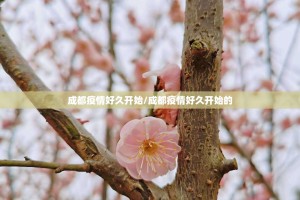 重磅.来袭空间棋牌到底有挂吗真的确实有挂