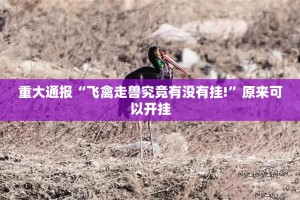 分享实测新广西老友麻将其实有挂确实真的有挂√其实是有挂
