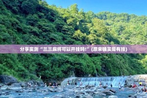 分享实测“三三麻将可以开挂吗!”(原来确实是有挂)