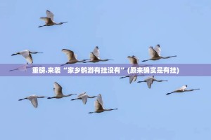 重大通报越乡游斗牛有挂吗果然有挂