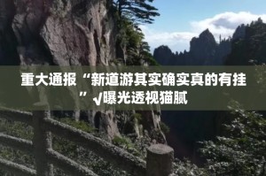 重大通报微乐益阳巴十到底有没有挂装!其实是有挂实测确实有挂