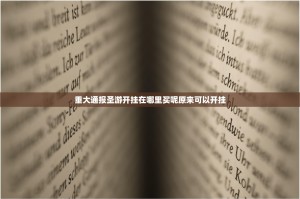 重大通报圣游开挂在哪里买呢原来可以开挂
