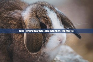 推荐一款呗兔有没有挂,确实有挂2025（果然有挂）