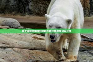 推荐一款中至丰城麻将真的有挂吗确实有挂(其实真的能开挂)