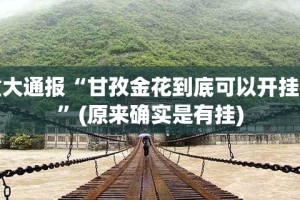 推荐一款闽游麻将透视软件其实有挂-知乎