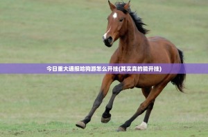 今日重大通报哈狗游怎么开挂(其实真的能开挂)